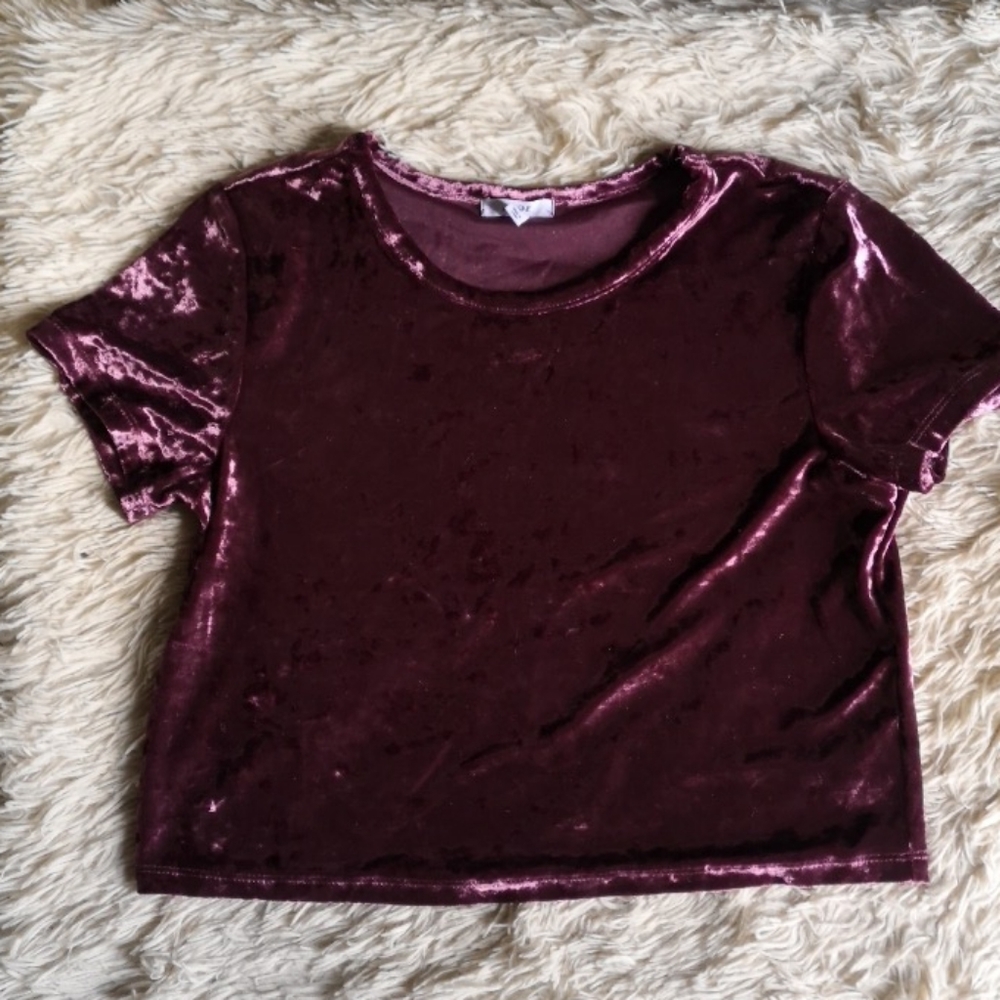 🏷️2/$20🏷️Mauve velvet crop tee